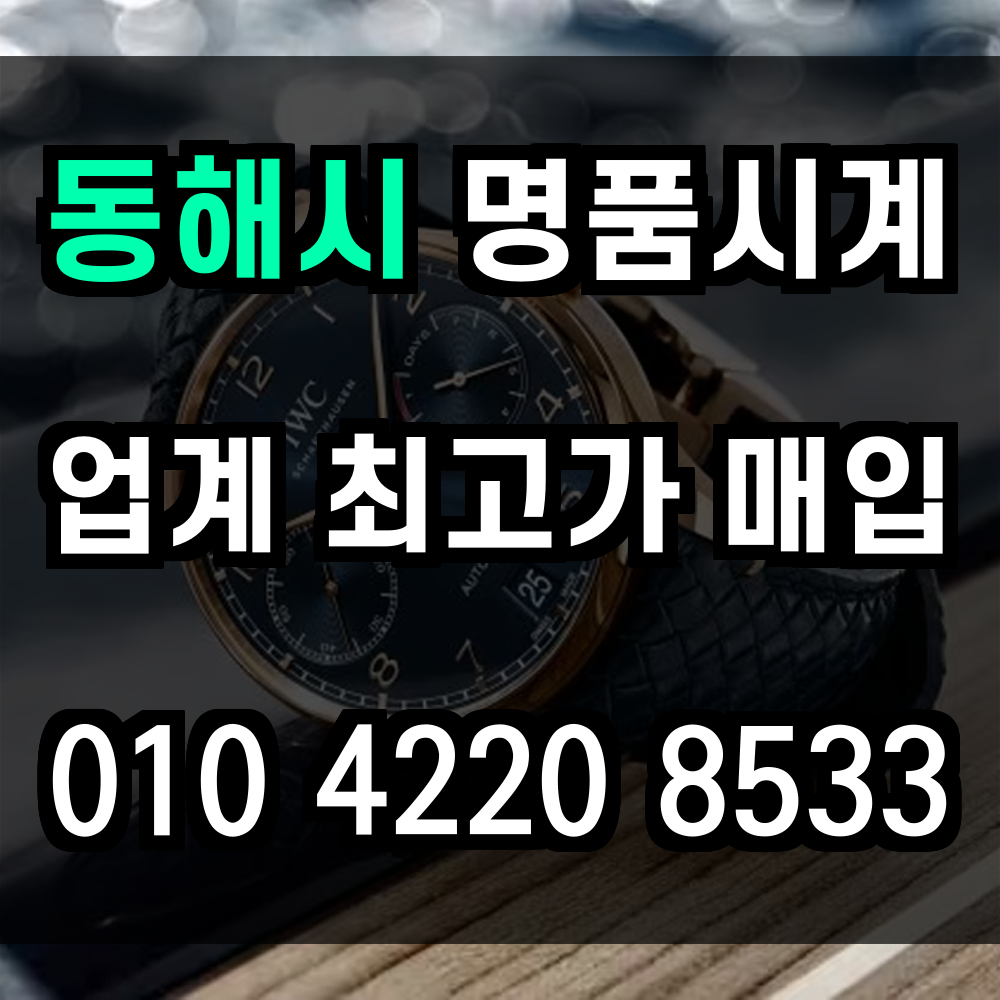 동해시 로렉스 매입