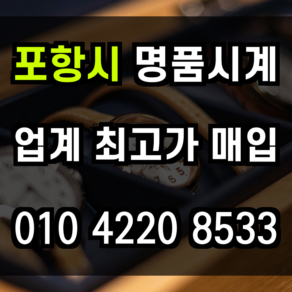 포항시 로렉스 매입