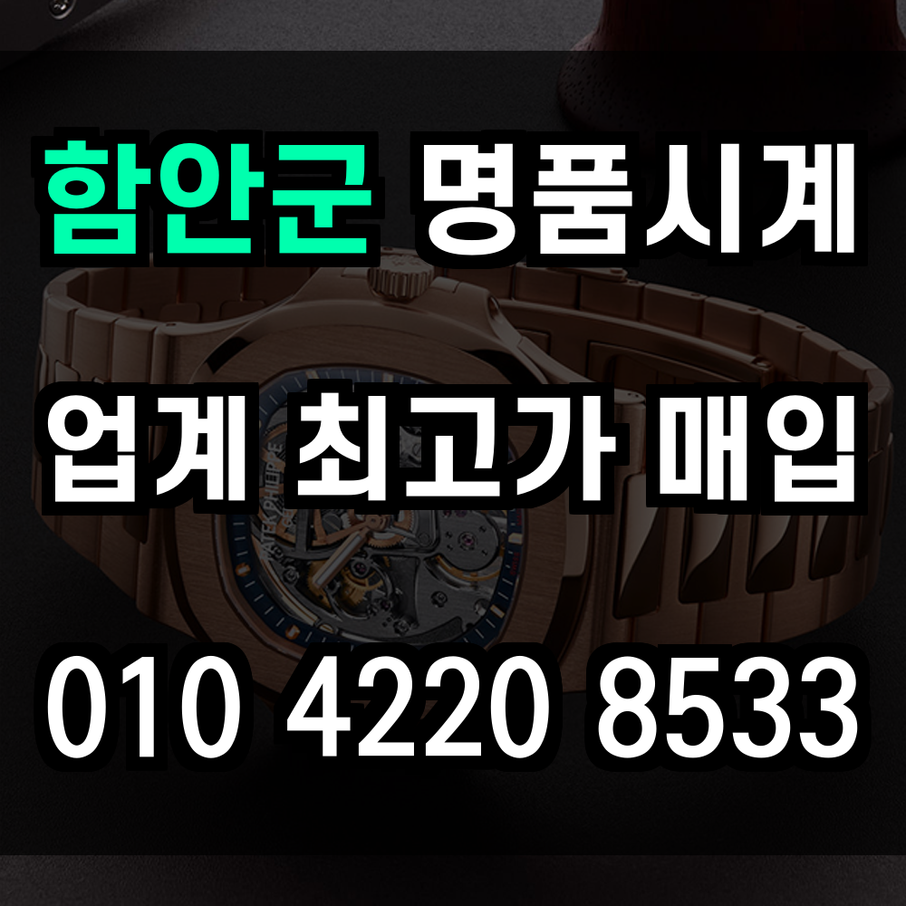 함안군 로렉스 매입