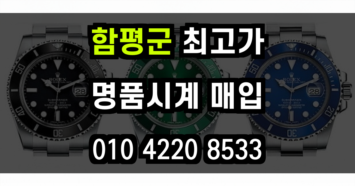 함평군 로렉스 매입