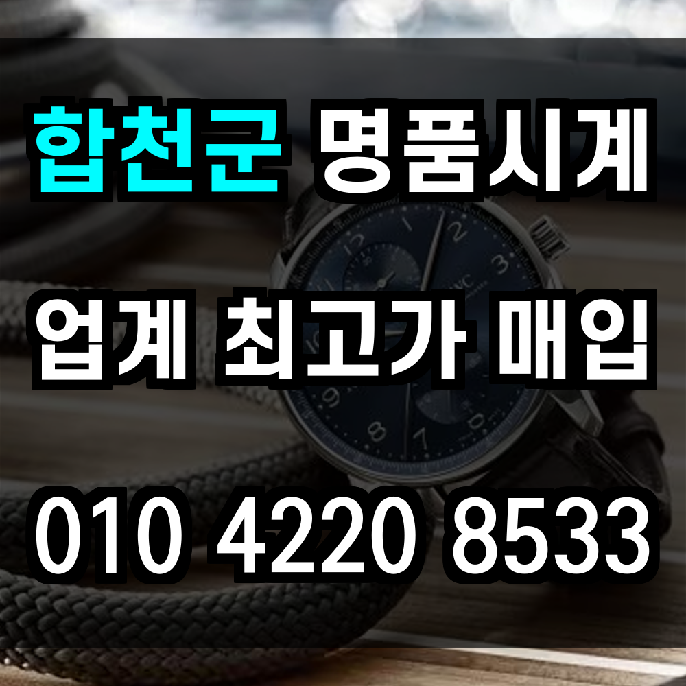 합천군 로렉스 매입