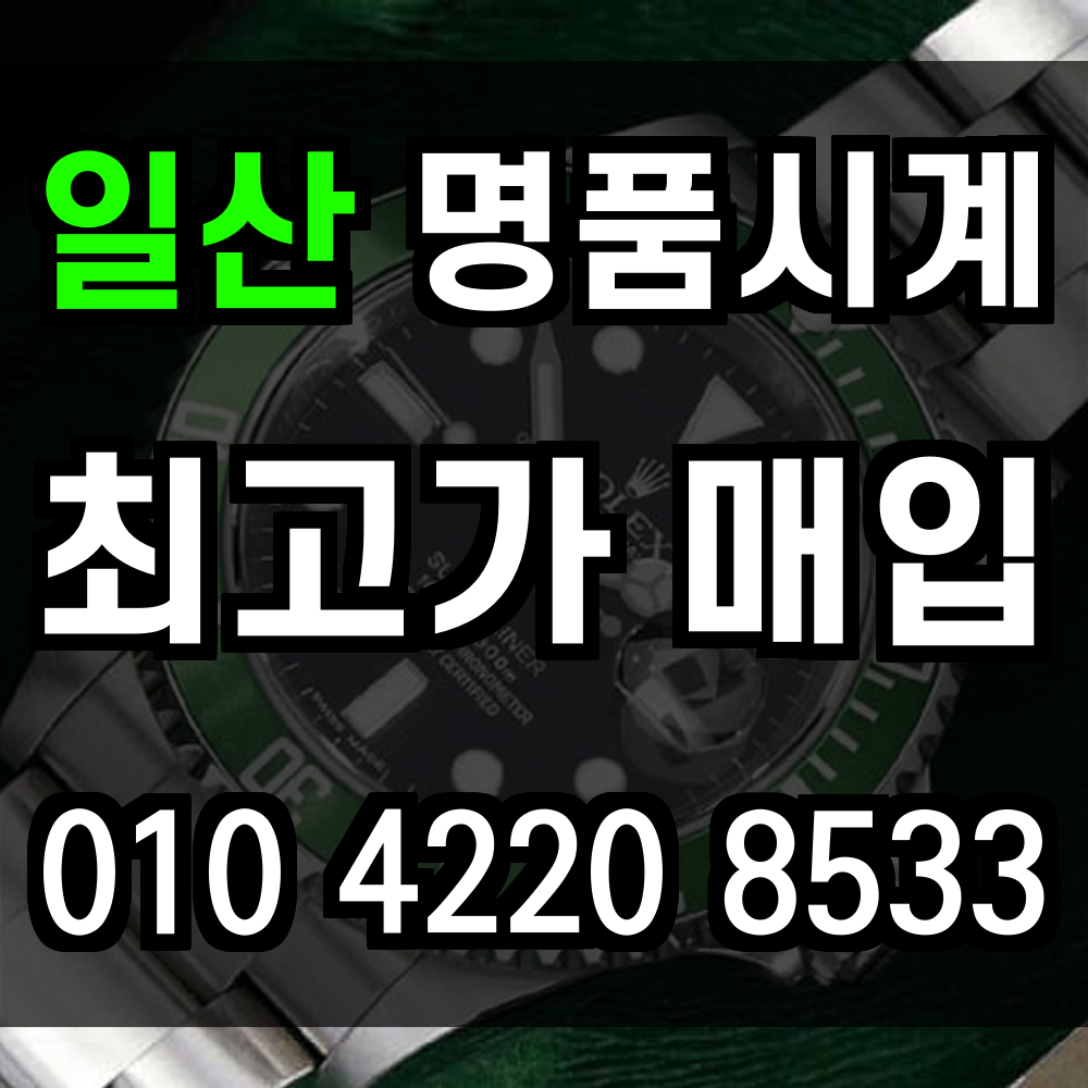 일산 로렉스 매입