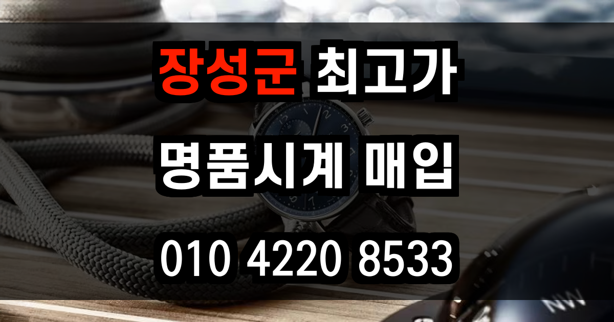 장성군 로렉스 매입