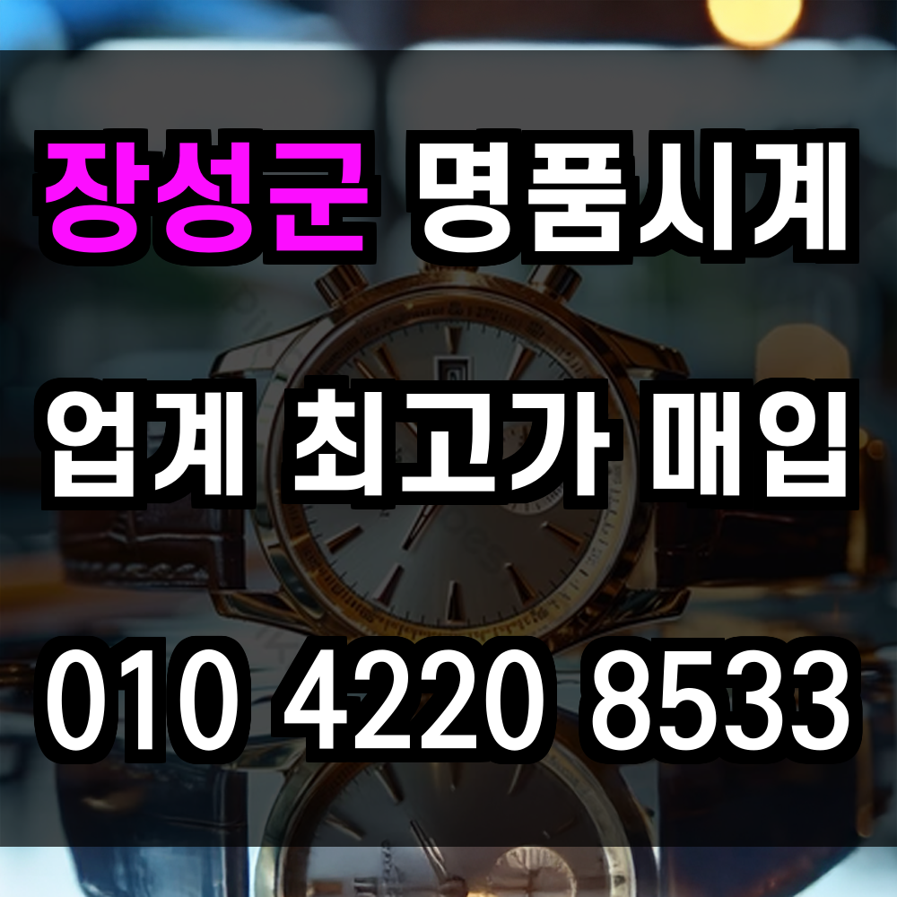 장성군 로렉스 매입