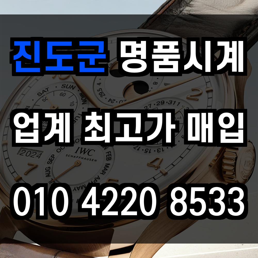 진도군 로렉스 매입