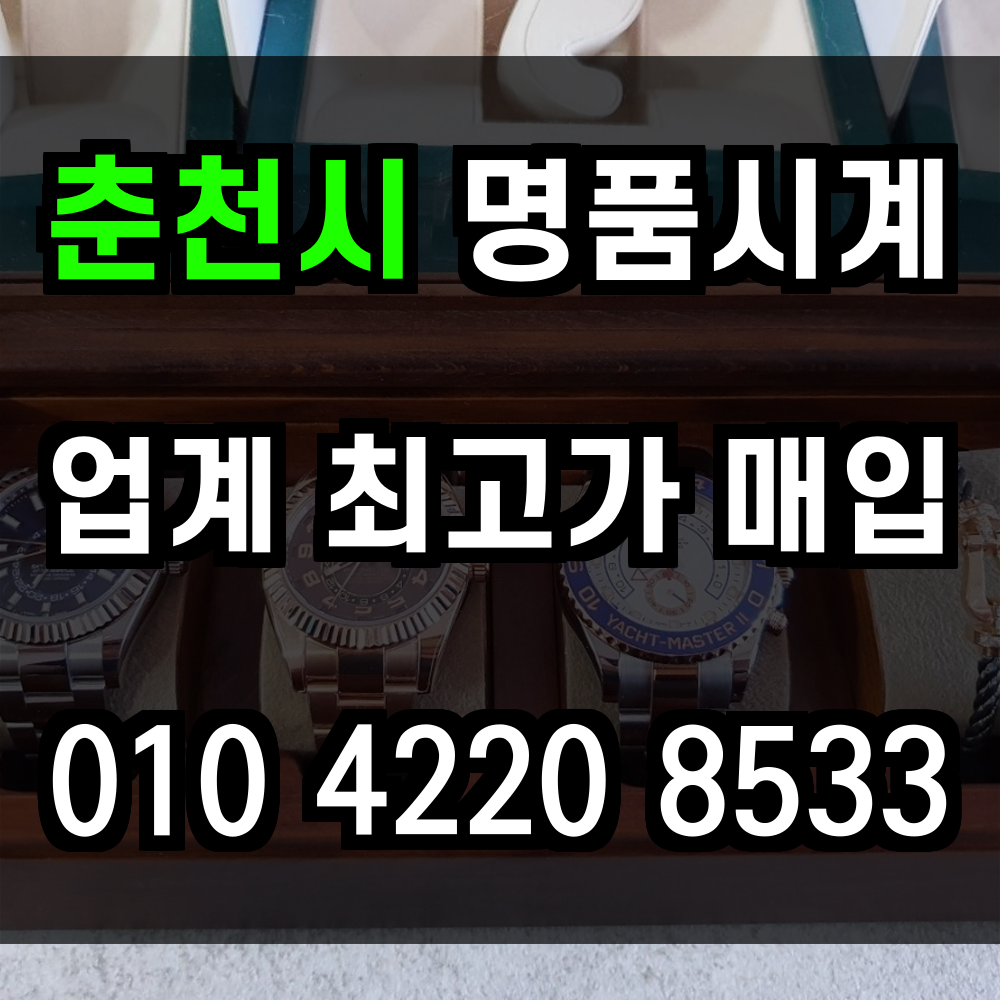 춘천시 로렉스 매입