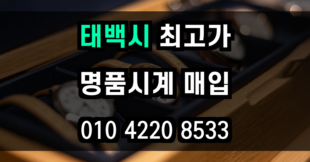 태백시 로렉스 매입