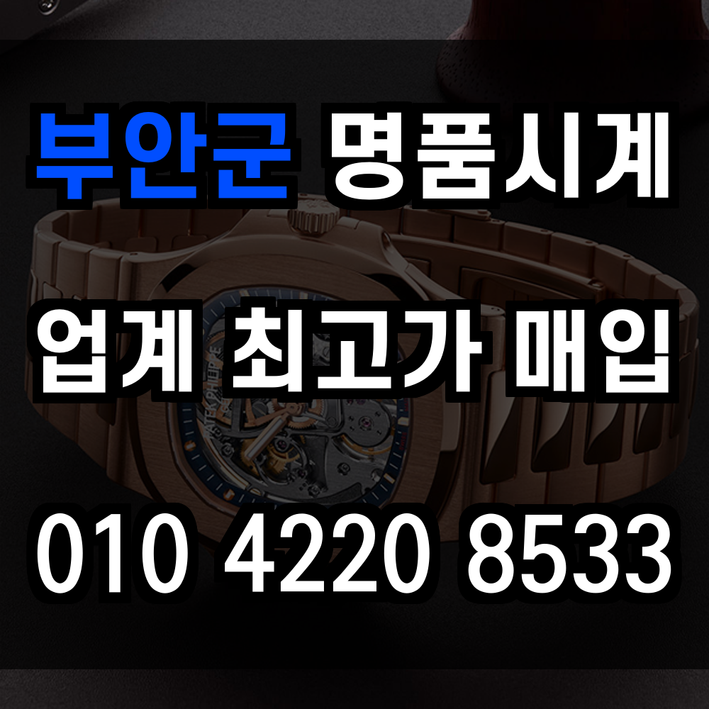 부안군 로렉스 매입