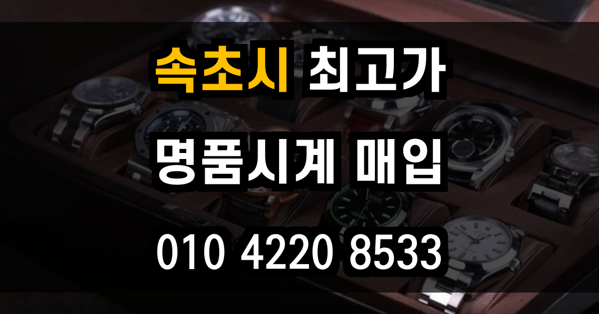 속초시 로렉스 매입