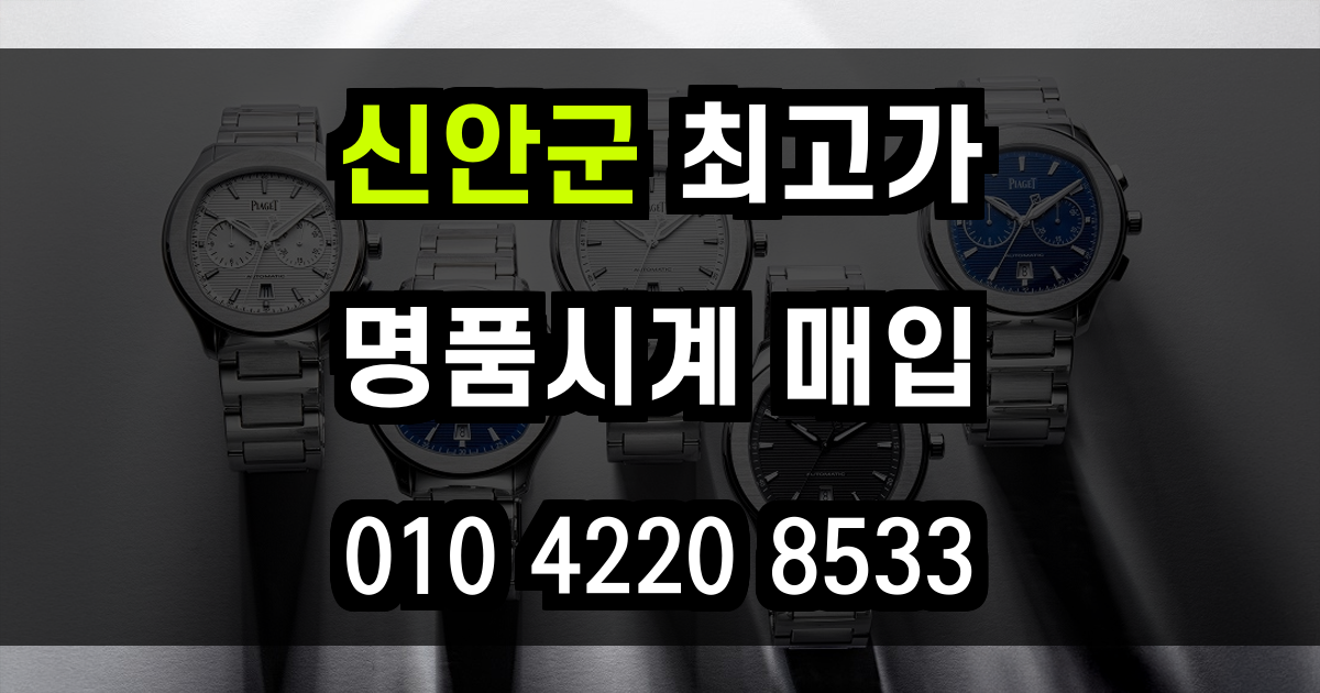 신안군 로렉스 매입