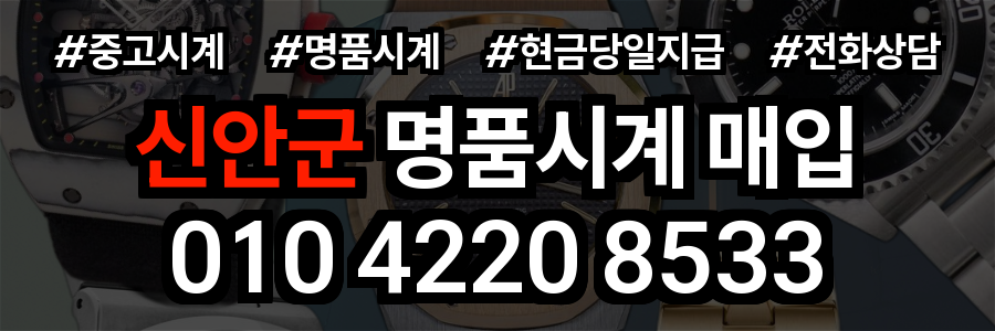 신안군 로렉스 매입