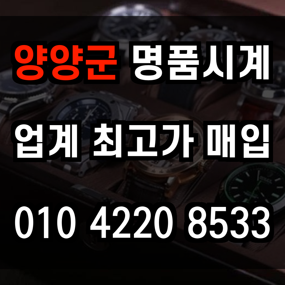 양양군 로렉스 매입