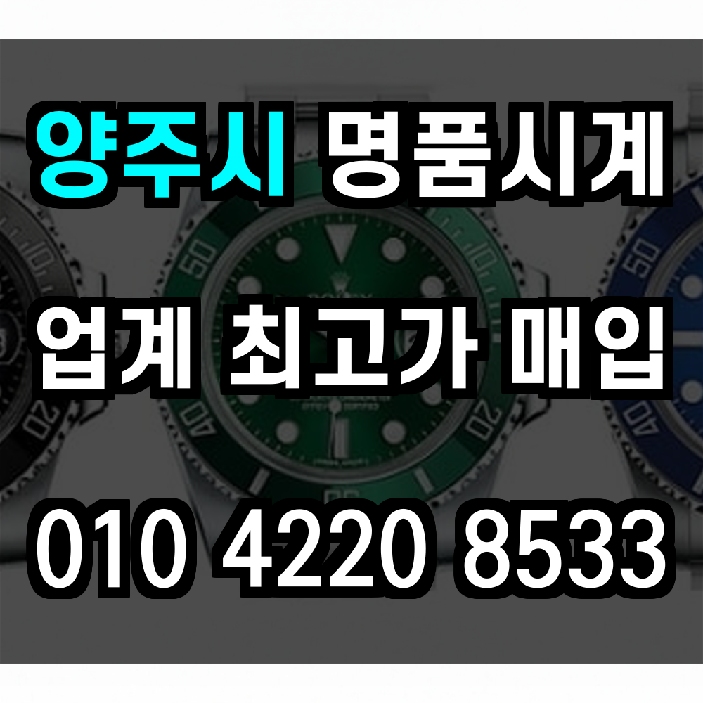 양주시 로렉스 매입