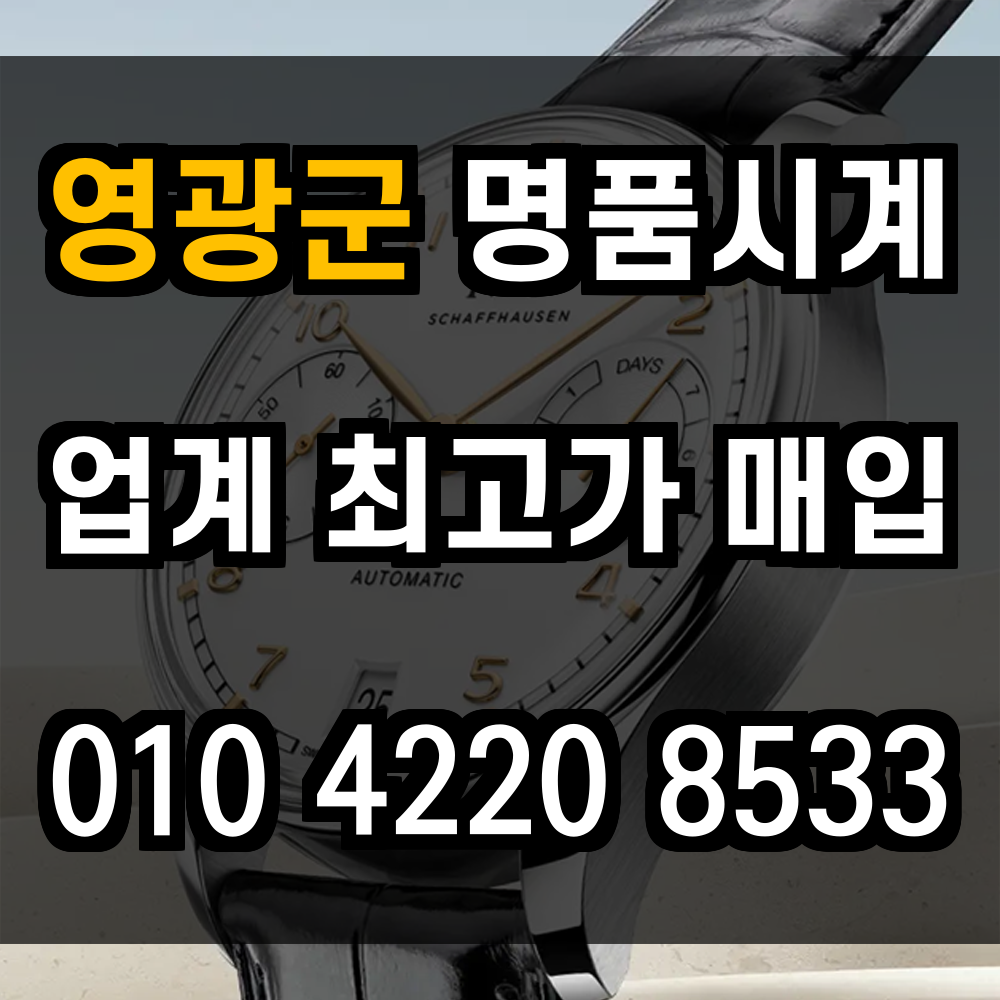 영광군 로렉스 매입