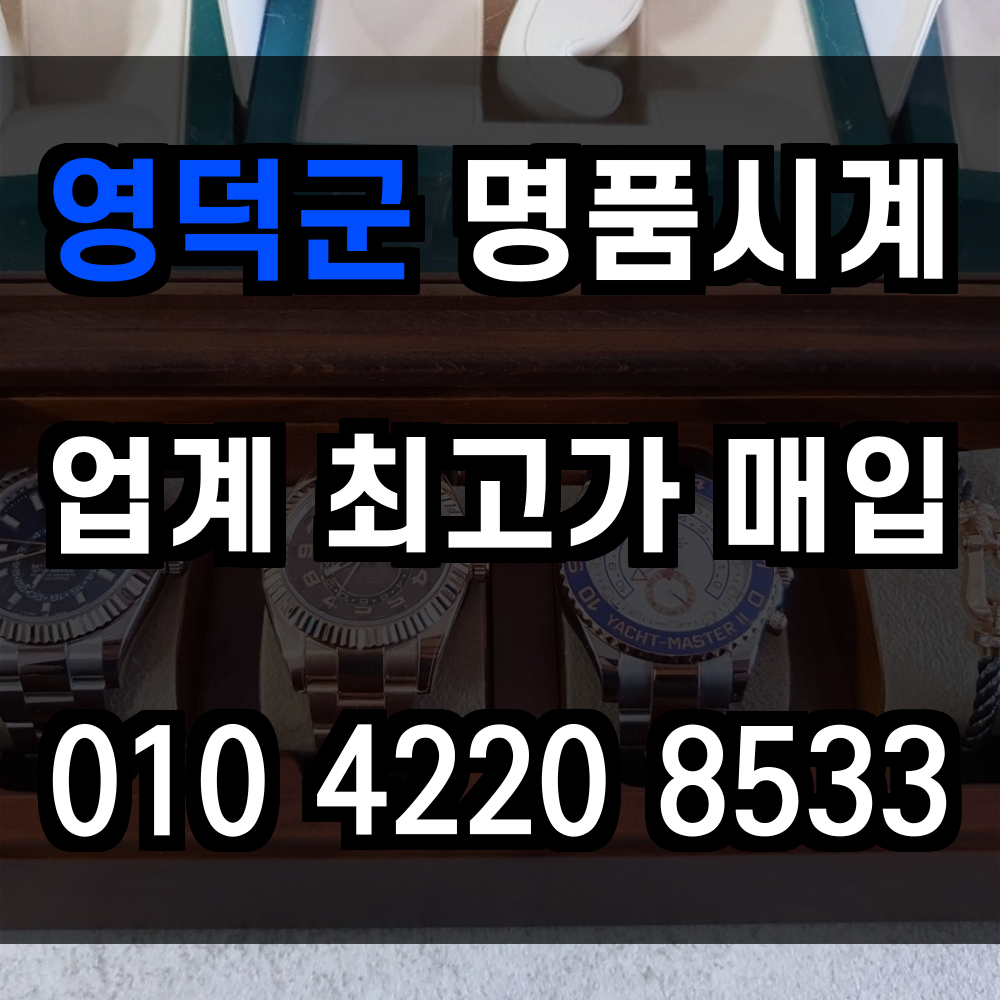 영덕군 로렉스 매입