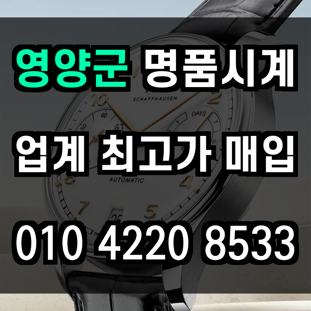 영양군 로렉스 매입