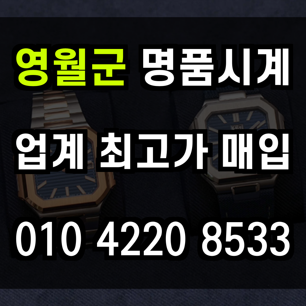 영월군 로렉스 매입