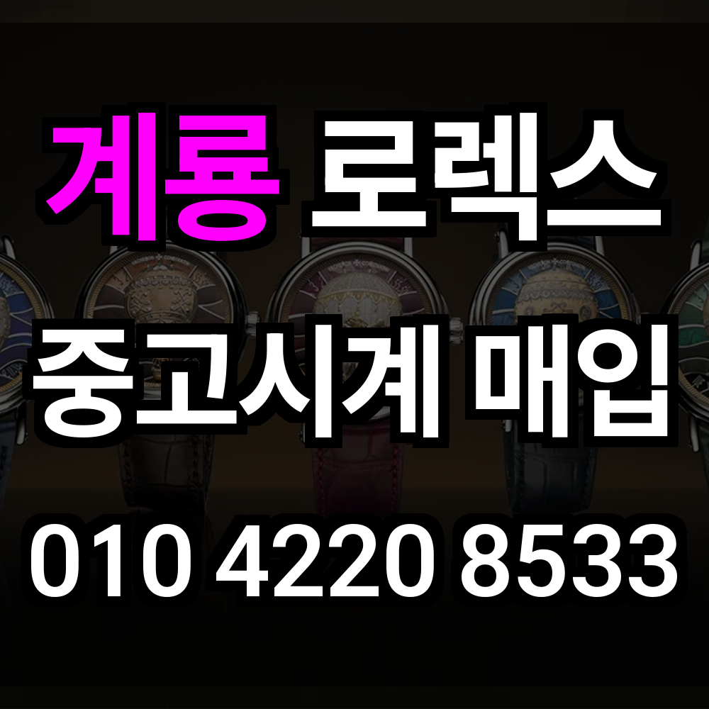 계룡 로렉스 매입