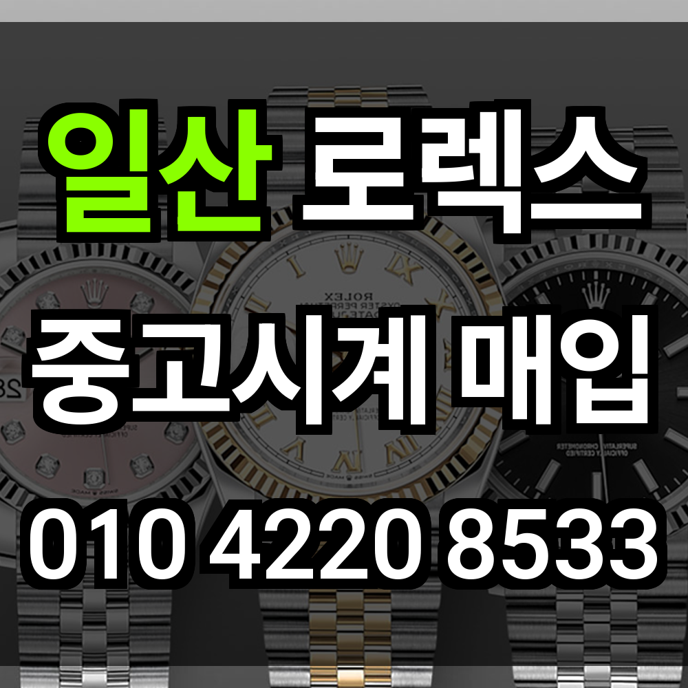 일산 로렉스 매입