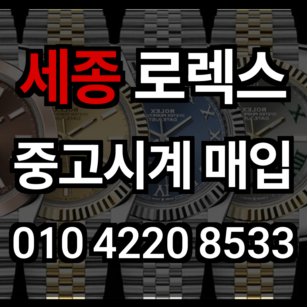 세종 로렉스 매입