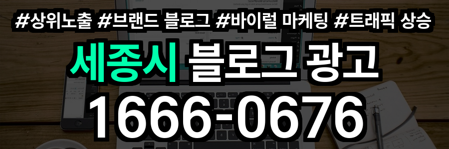 세종시 블로그 광고