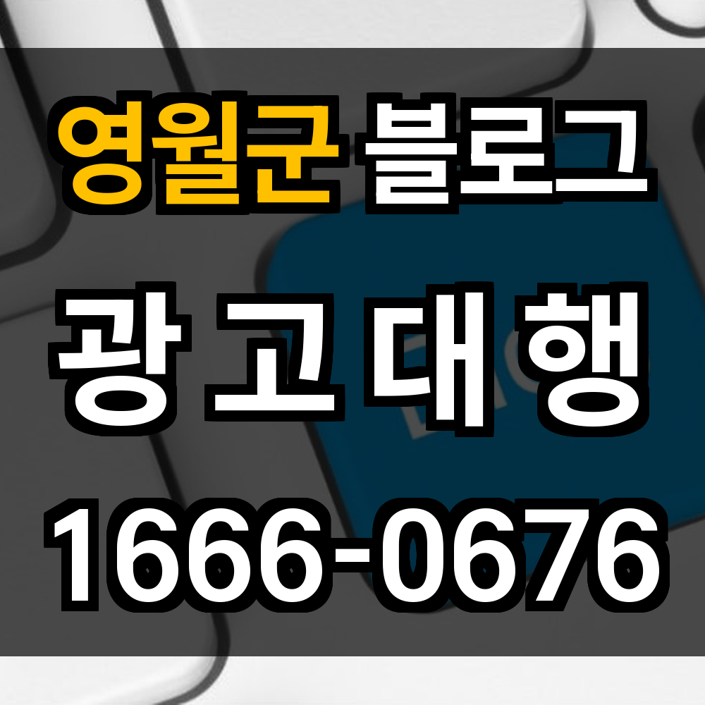 영월군 블로그 광고