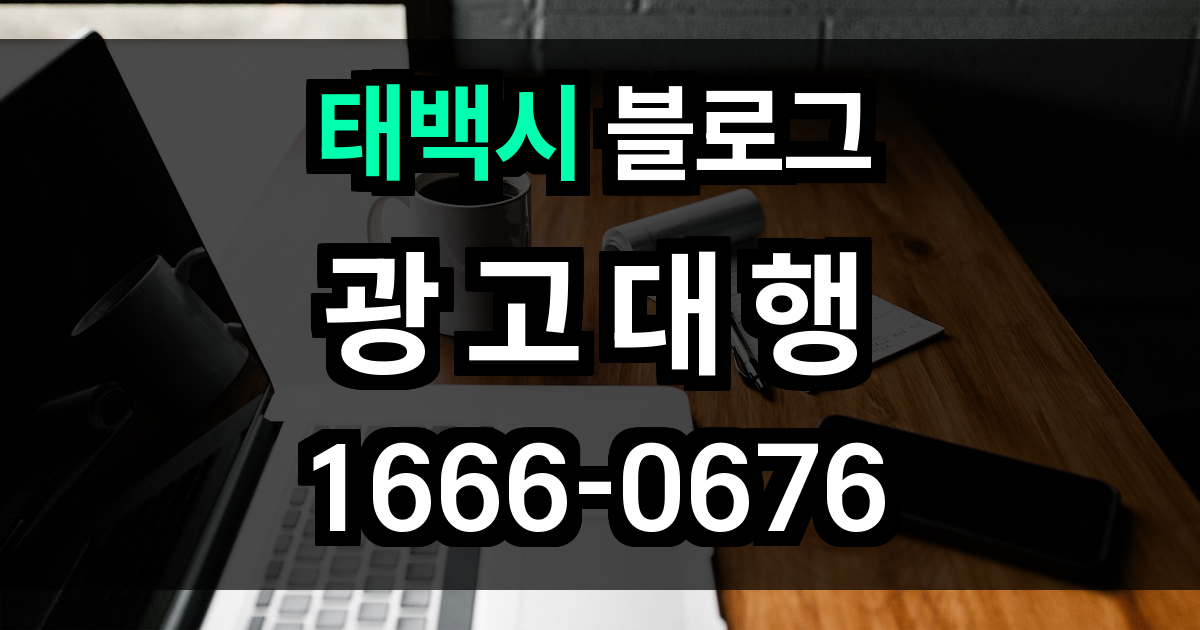 태백시 블로그 광고