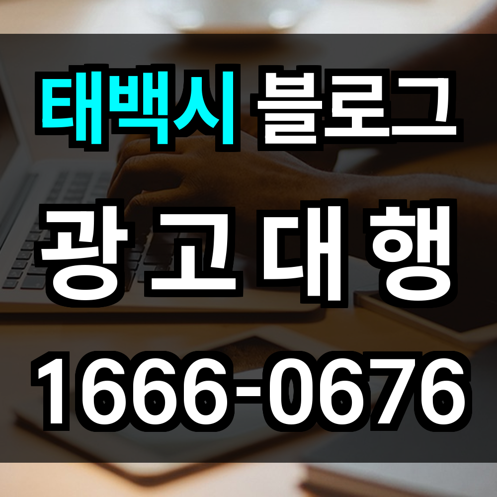 태백시 블로그 광고
