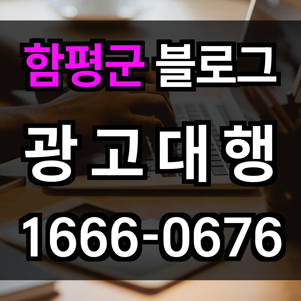 함평군 블로그 광고