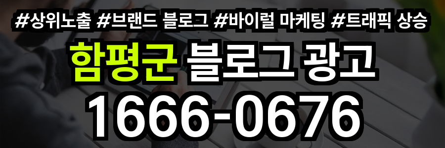함평군 블로그 광고