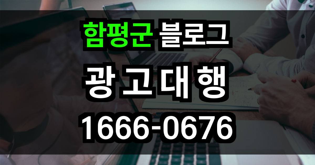 함평군 블로그 광고