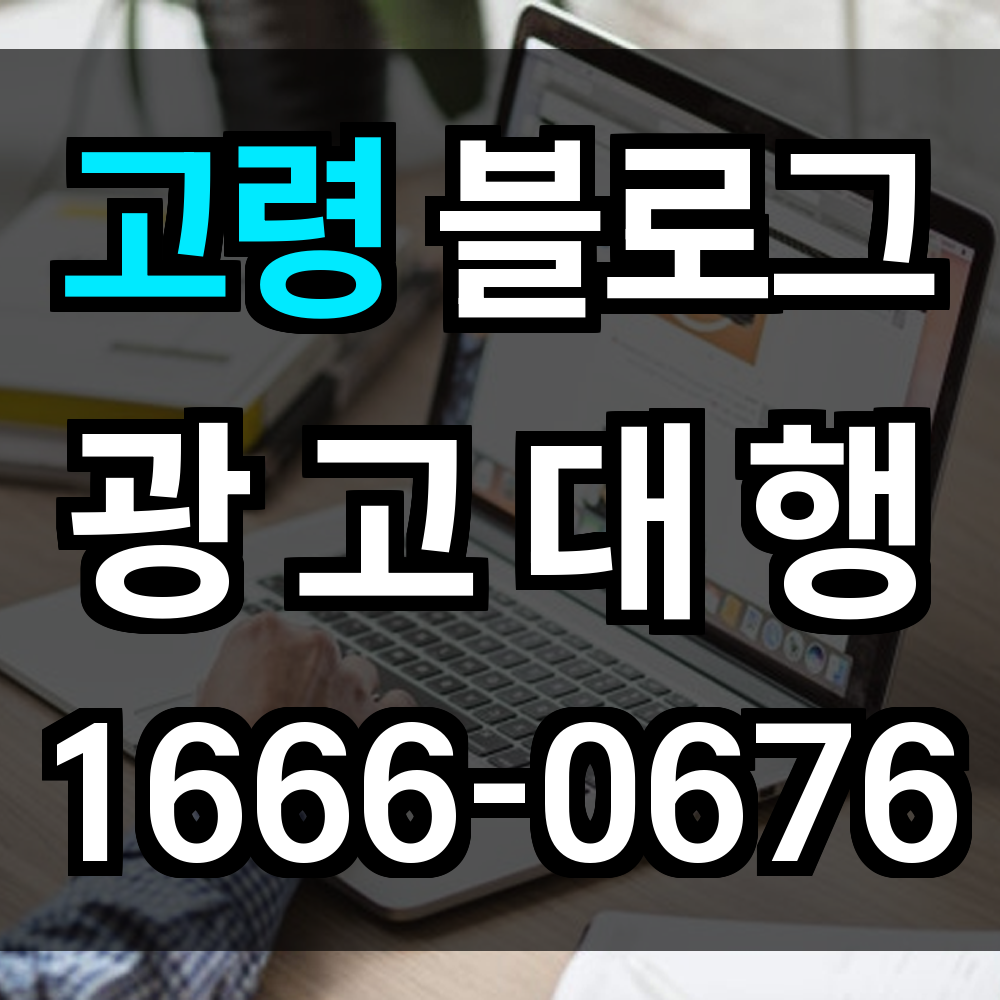 고령 블로그 광고