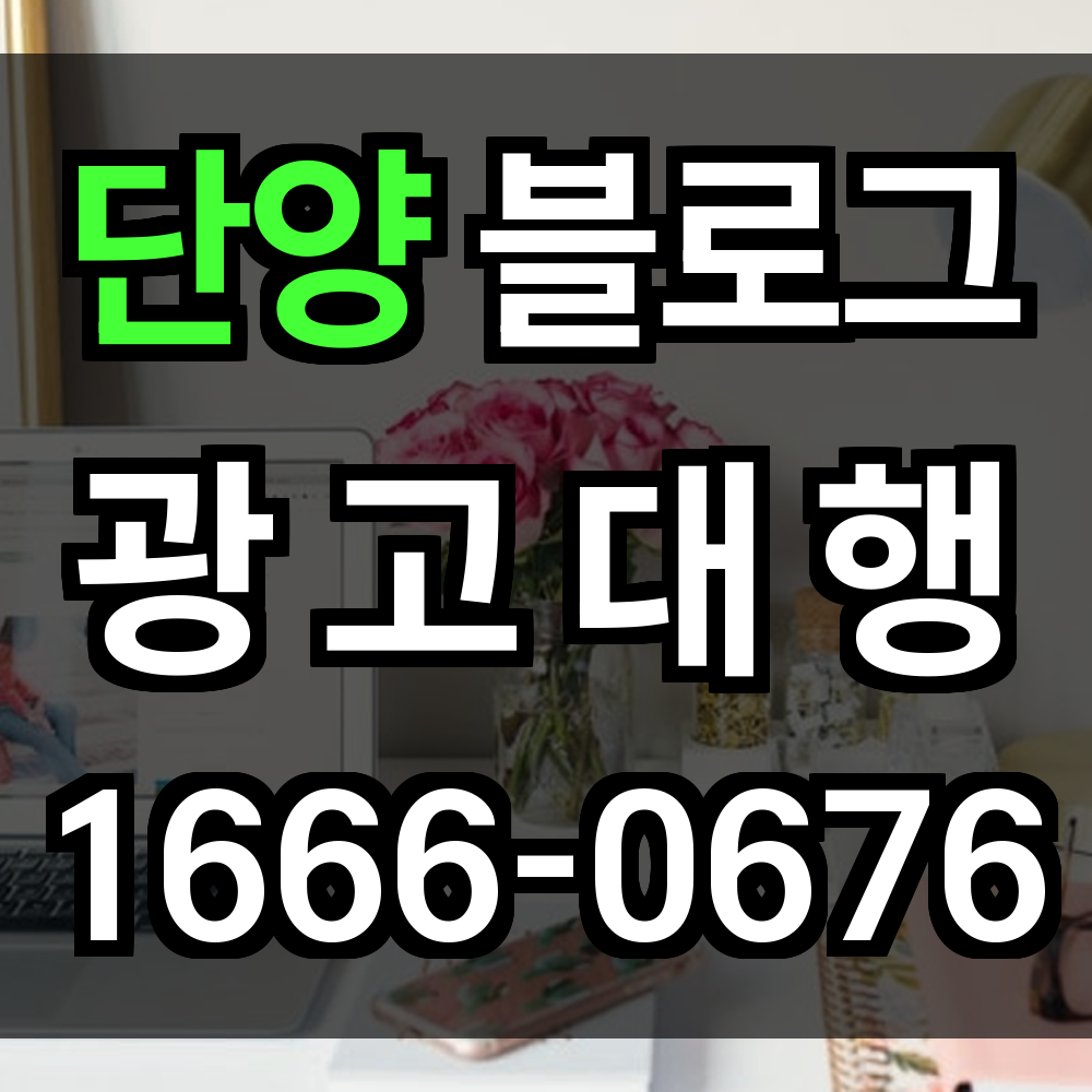 단양 블로그 광고