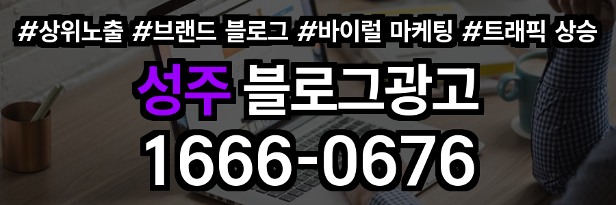 성주 블로그 광고