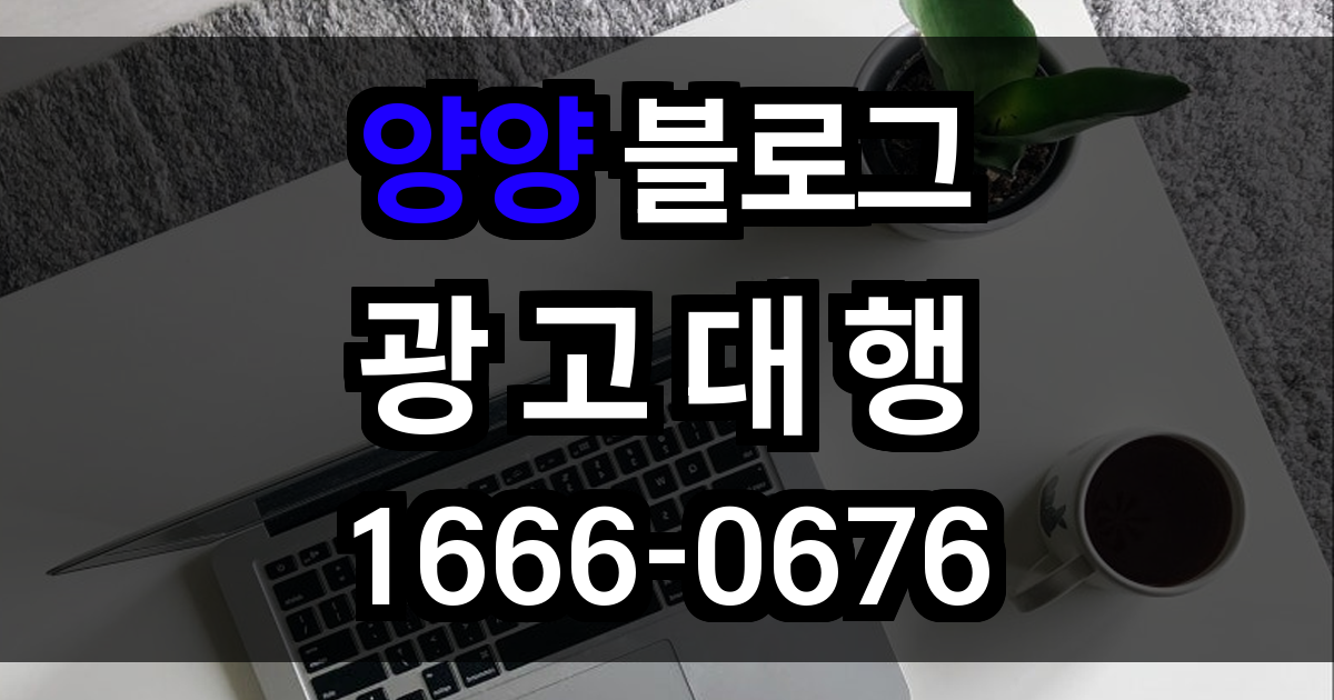 양양 블로그 광고