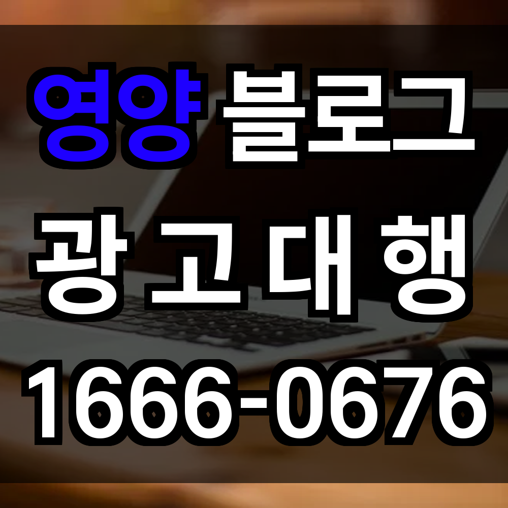 영양 블로그 광고