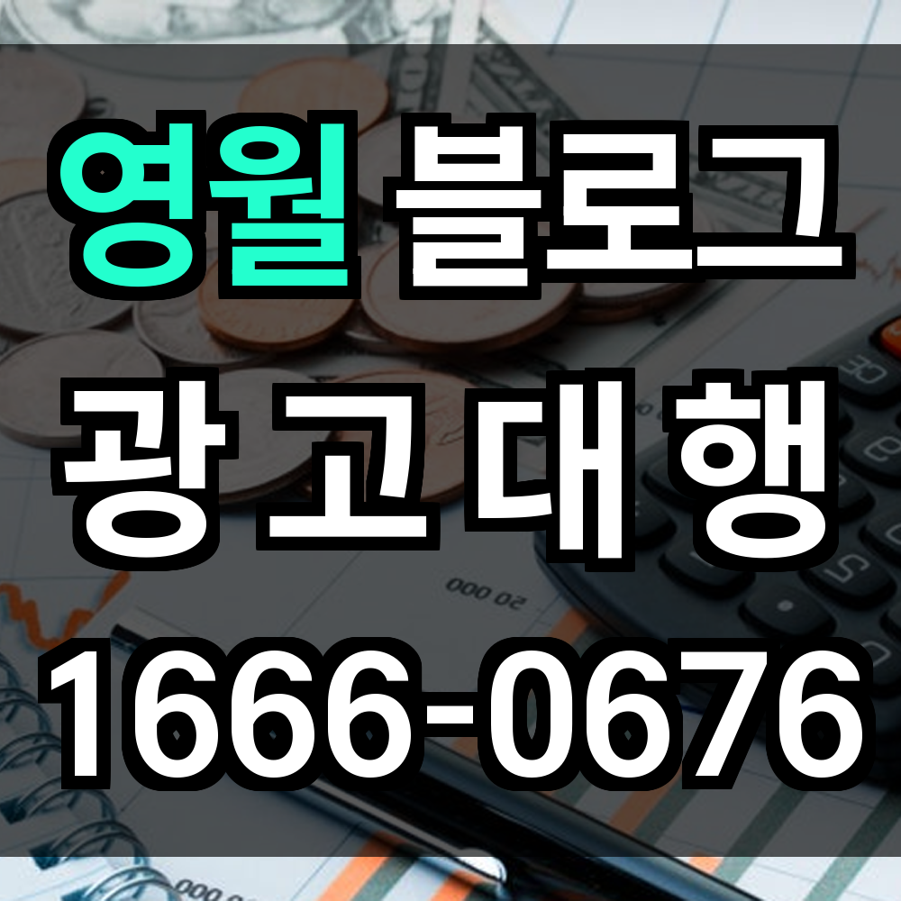 영월 블로그 광고