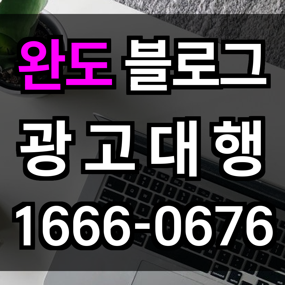 완도 블로그 광고