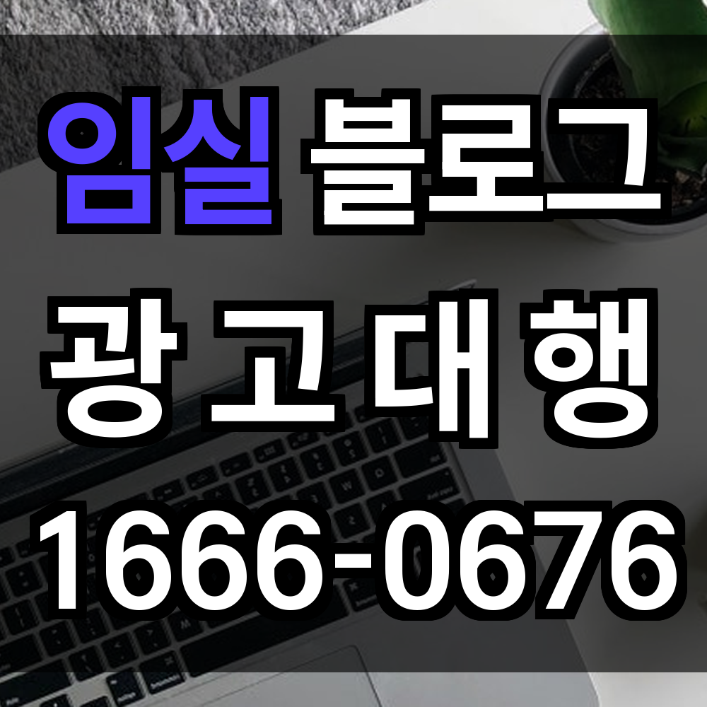 임실 블로그 광고