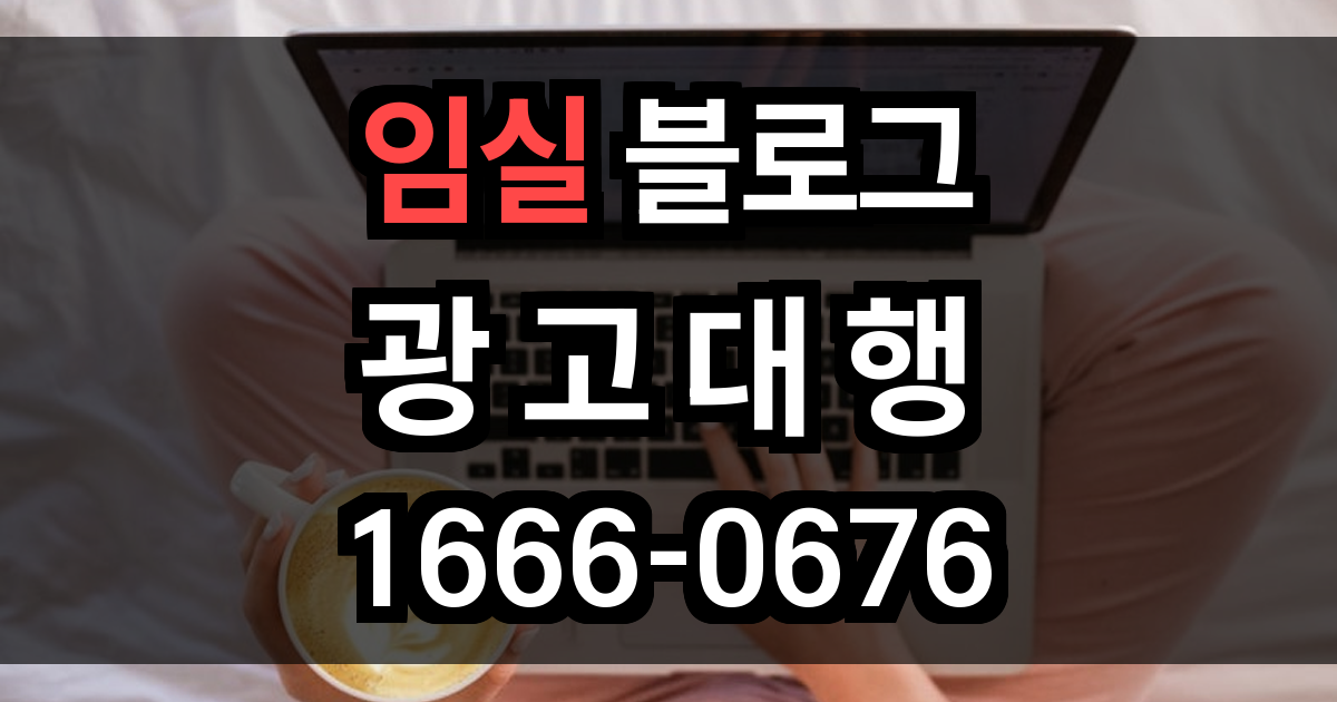 임실 블로그 광고