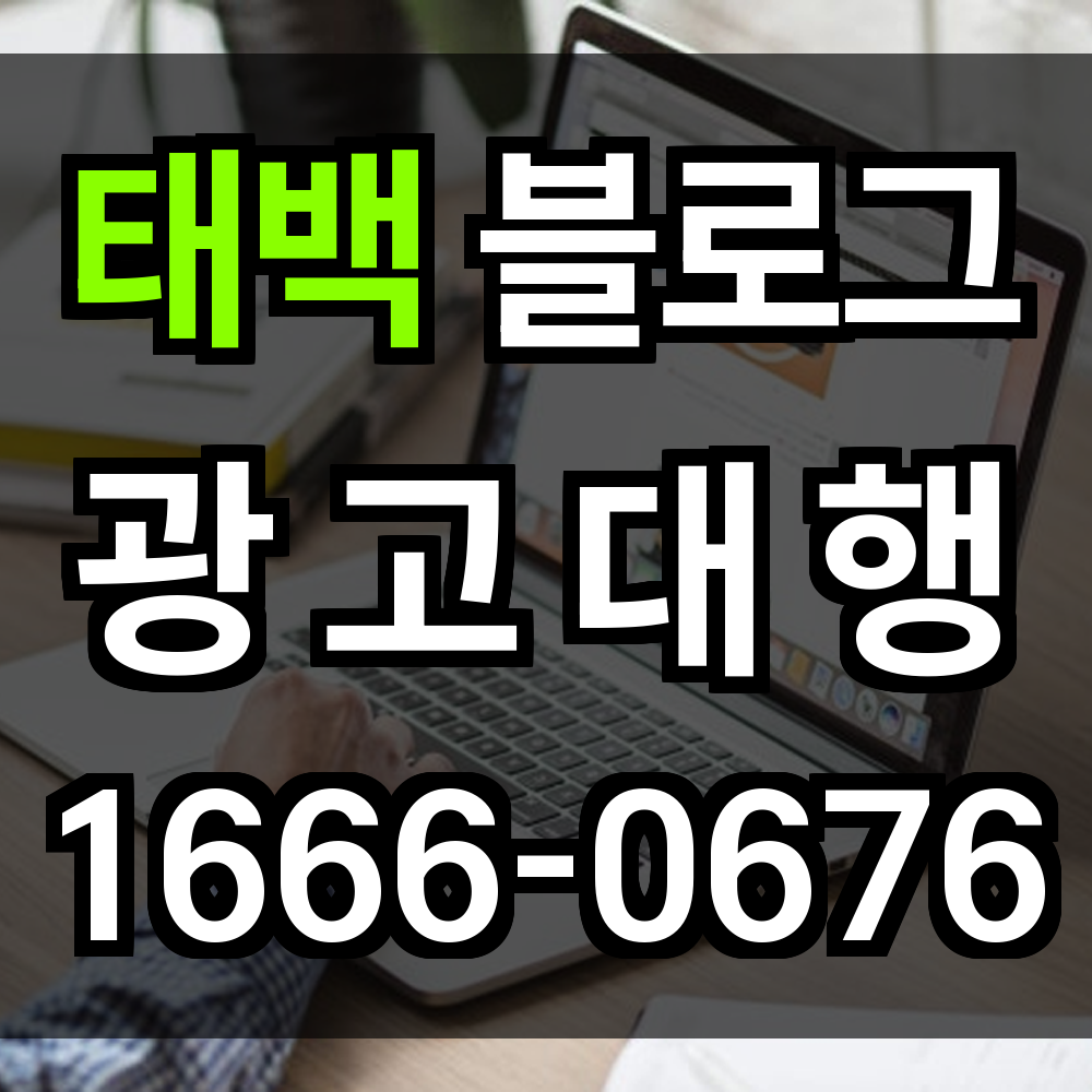 태백 블로그 광고