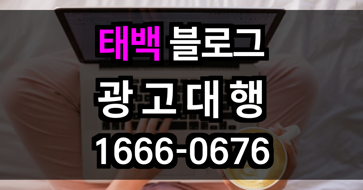 태백 블로그 광고
