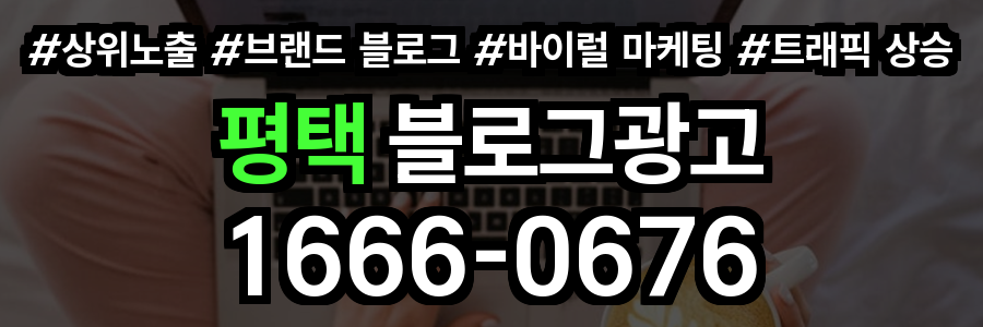 평택 블로그 광고