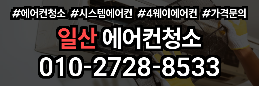 일산 에어컨 청소