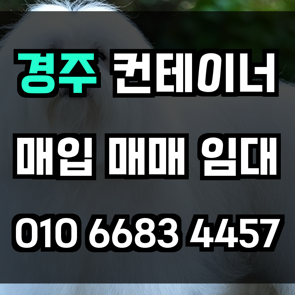 경주 중고 컨테이너 매입