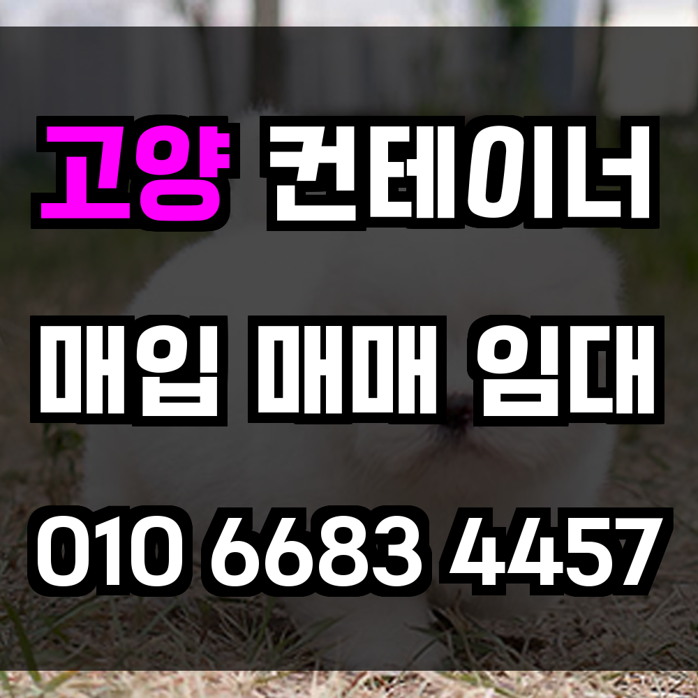 고양 중고 컨테이너 매입