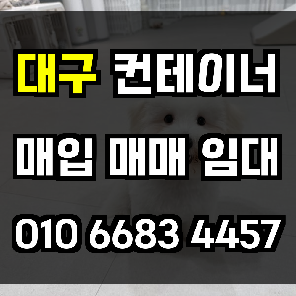 대구 중고 컨테이너 매입