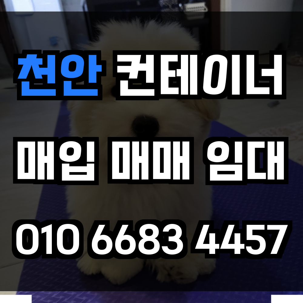 천안 중고 컨테이너 매입