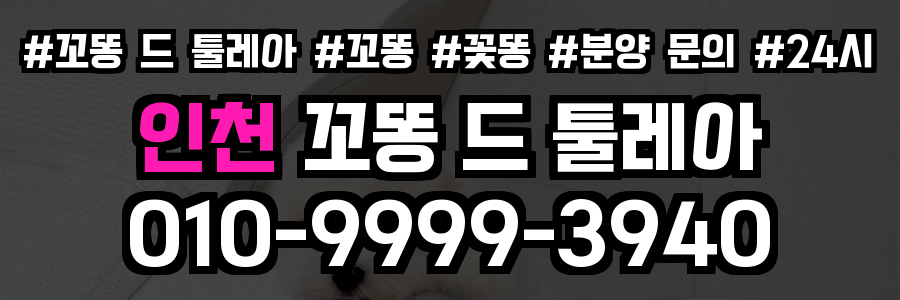 인천 꼬똥드툴레아 분양
