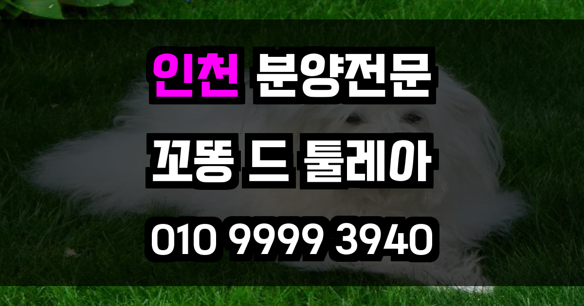 인천 꼬똥드툴레아 분양